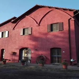 Bed & Breakfast Il Baffetto Rome